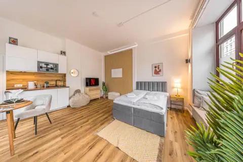 Apartment Ruhige Und Stilvolle Am Clara-zetkin-park Leipzig